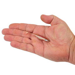 PowerBait® Drip Swimmer