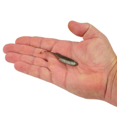 PowerBait Drip Swimmer