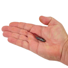 PowerBait Drip Swimmer