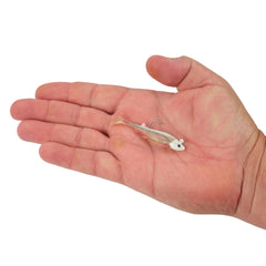 PowerBait Minnotator