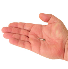 PowerBait Minnow