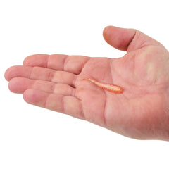 PowerBait Minnow