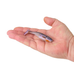 PowerBait Paddlin' PowerStinger