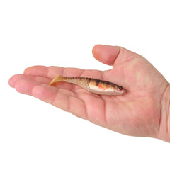 PowerBait Paddlin' PowerStinger