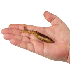 PowerBait PowerStinger