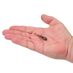 PowerBait® Power® Switch