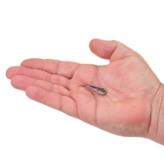 PowerBait Power Switch