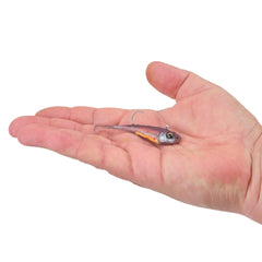 PowerBait Power Switch