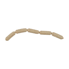 PowerBait Power Wigglers