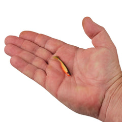 PowerBait® Ripple Shad