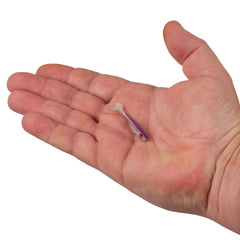PowerBait Ripple Shad
