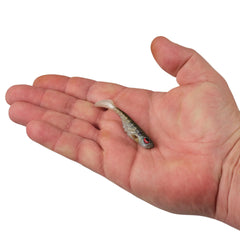 PowerBait Ripple Shad