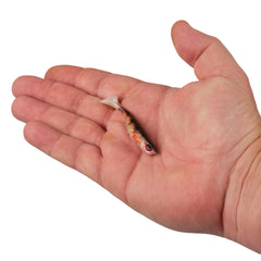 PowerBait® Ripple Shad