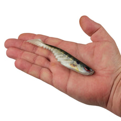 PowerBait® Ripple Shad