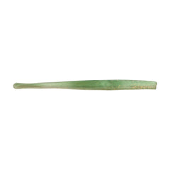 PowerBait® Saltwater Bonga Stick