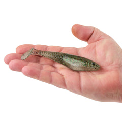PowerBait Saltwater CullShad