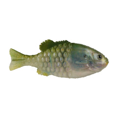 PowerBait Saltwater Gilly