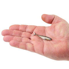 PowerBait The Champ Minnow