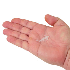 PowerBait Trilobite