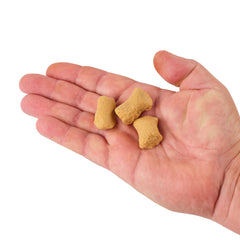 PowerBait® Catfish Bait Chunks