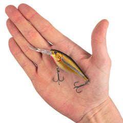 Scented Flicker Shad Pro Pack