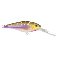 Scented Flicker Shad® Pro Pack