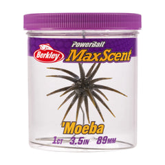PowerBait® MaxScent 'Moeba