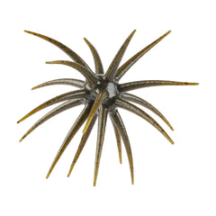 PowerBait® MaxScent 'Moeba