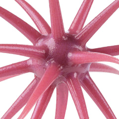PowerBait® MaxScent 'Moeba