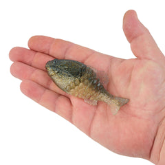 PowerBait® Gilly