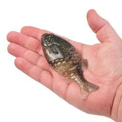 PowerBait® Gilly