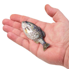PowerBait® Gilly
