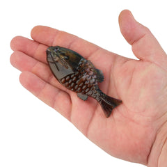 PowerBait® Gilly