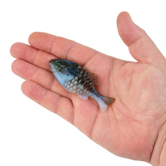 PowerBait® Gilly