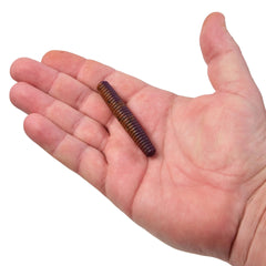 PowerBait® MaxScent Lil' General