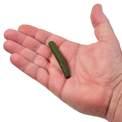 PowerBait MaxScent Lil' General