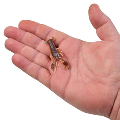 PowerBait MaxScent Lil' Trooper