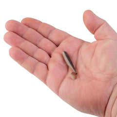 PowerBait® Power® Swimmer