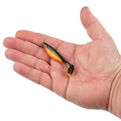PowerBait® The Champ Swimmer