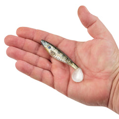 PowerBait® The Champ Swimmer