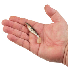PowerBait® The Champ Swimmer