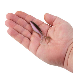 PowerBait® The Deal