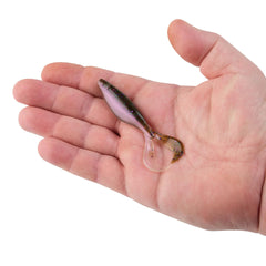 PowerBait® The Deal